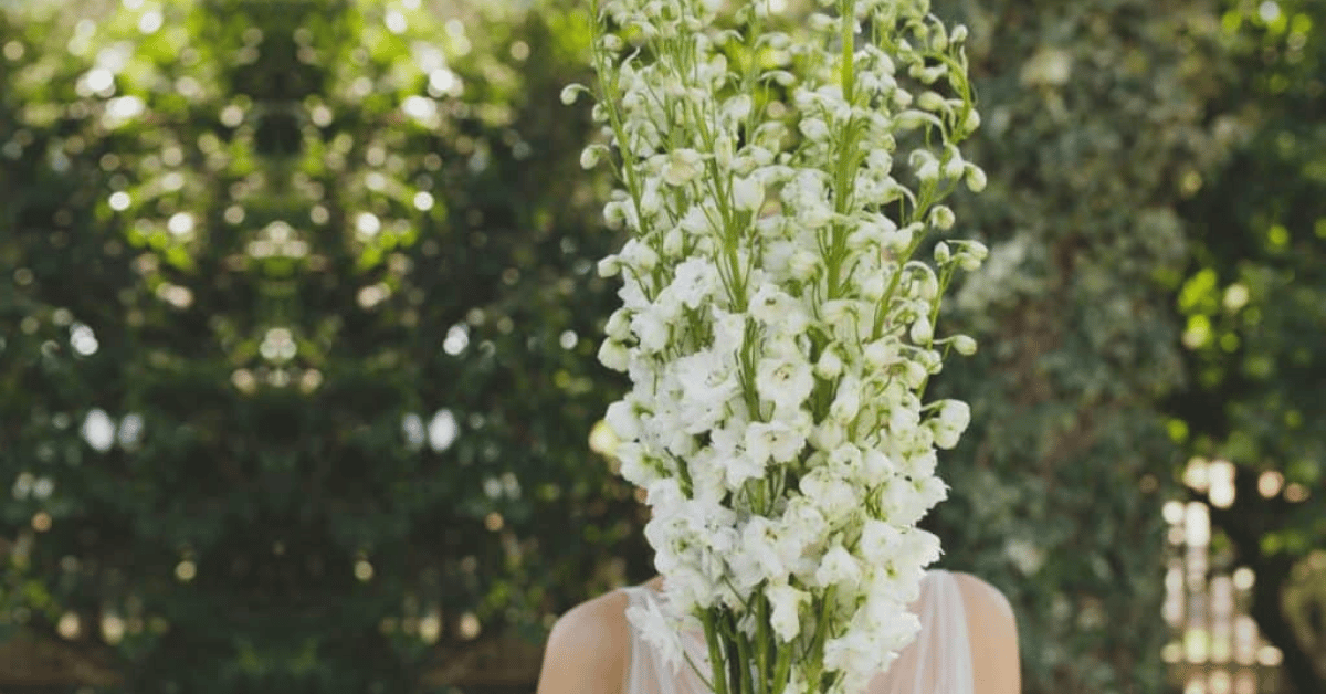 Featured image for Engagement blog